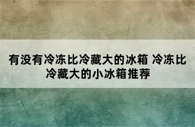 有没有冷冻比冷藏大的冰箱 冷冻比冷藏大的小冰箱推荐